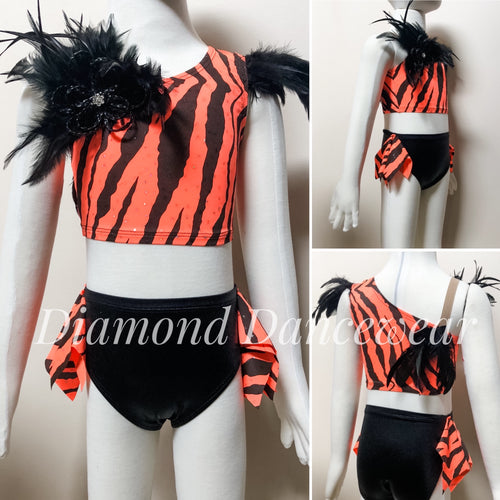 Girls Size 4 - Two Piece Feather Dance Costume - In Stock