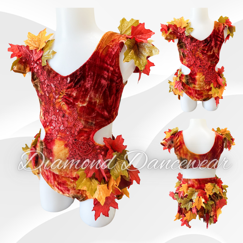 Girls Size 6 -  Velvet Dance Costume with Leaves - In Stock