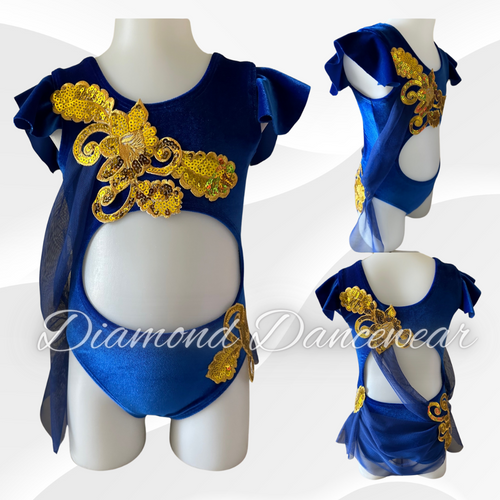 Girls Size 4 to 6 - Royal Blue and Gold Dance Costume - In Stock