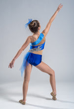 Load image into Gallery viewer, Adorable Blue and Silver Lyrical Dance Costume